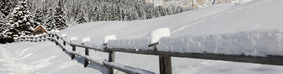 Snow settled on a wooden fence