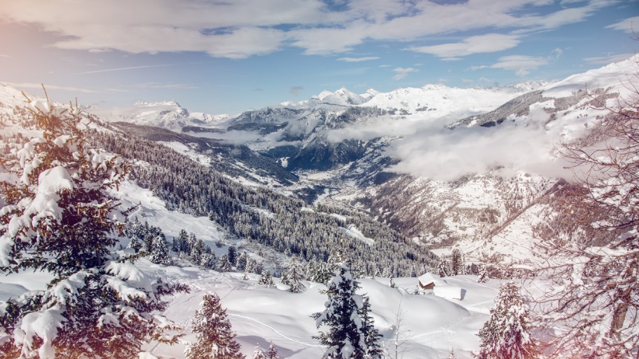 Tree covered mountain scene